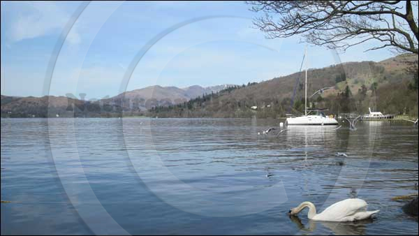 Windermere and the Lake District Fells