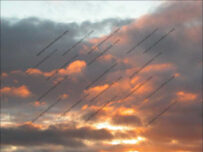 Share your weather observations with the Met Office