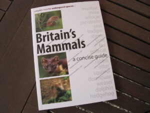 Britain's Mammals - a concise guide Britain's Mammals - a concise guide