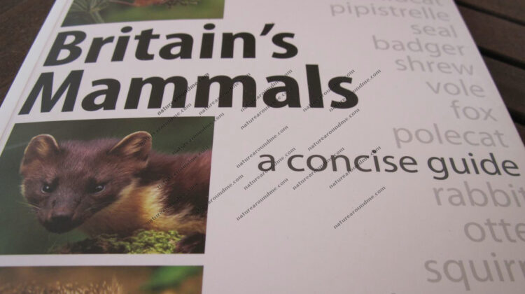 Britain's Mammals - a concise guide