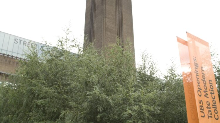 looking for the birds on the Tate Modern building - Pic Eleanor Bentall (rspb-images.com)