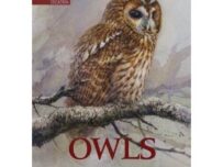 Owls by Chris Mead