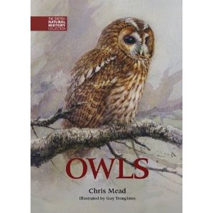 Owls by Chris Mead