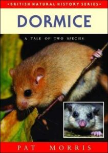The life of a dormouse is explained in easy to understand text The life of a dormouse is explained in easy to understand text