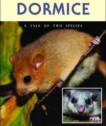 The life of a dormouse is explained in easy to understand text